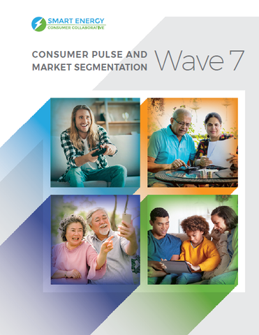 Consumer Pulse and Market Segmentation – Wave 7